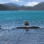 Lago_Pehoe_Torres_Del_Paine