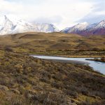 Laguna_Amarga_Torres_Del_Paine-