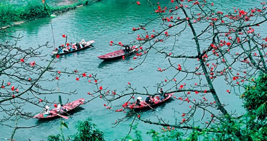 Vietnam_silversea_ppow_arvore_vermelha Vietnam