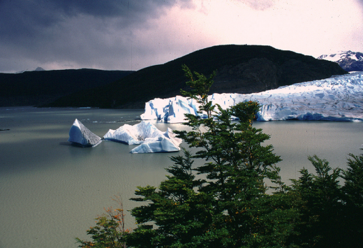 lago-glaria-grey-patagonia-ppow Lago & Glaciar Grey - Patagonia