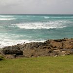 Barbados-beach-view