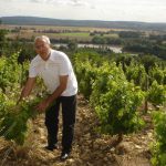 Com o Loire ao fundo Luiz Gastão examina a vinha de Sauvignon Blanc.