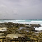 barbados-kite-long-beach