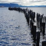 Puerto_Natales_2